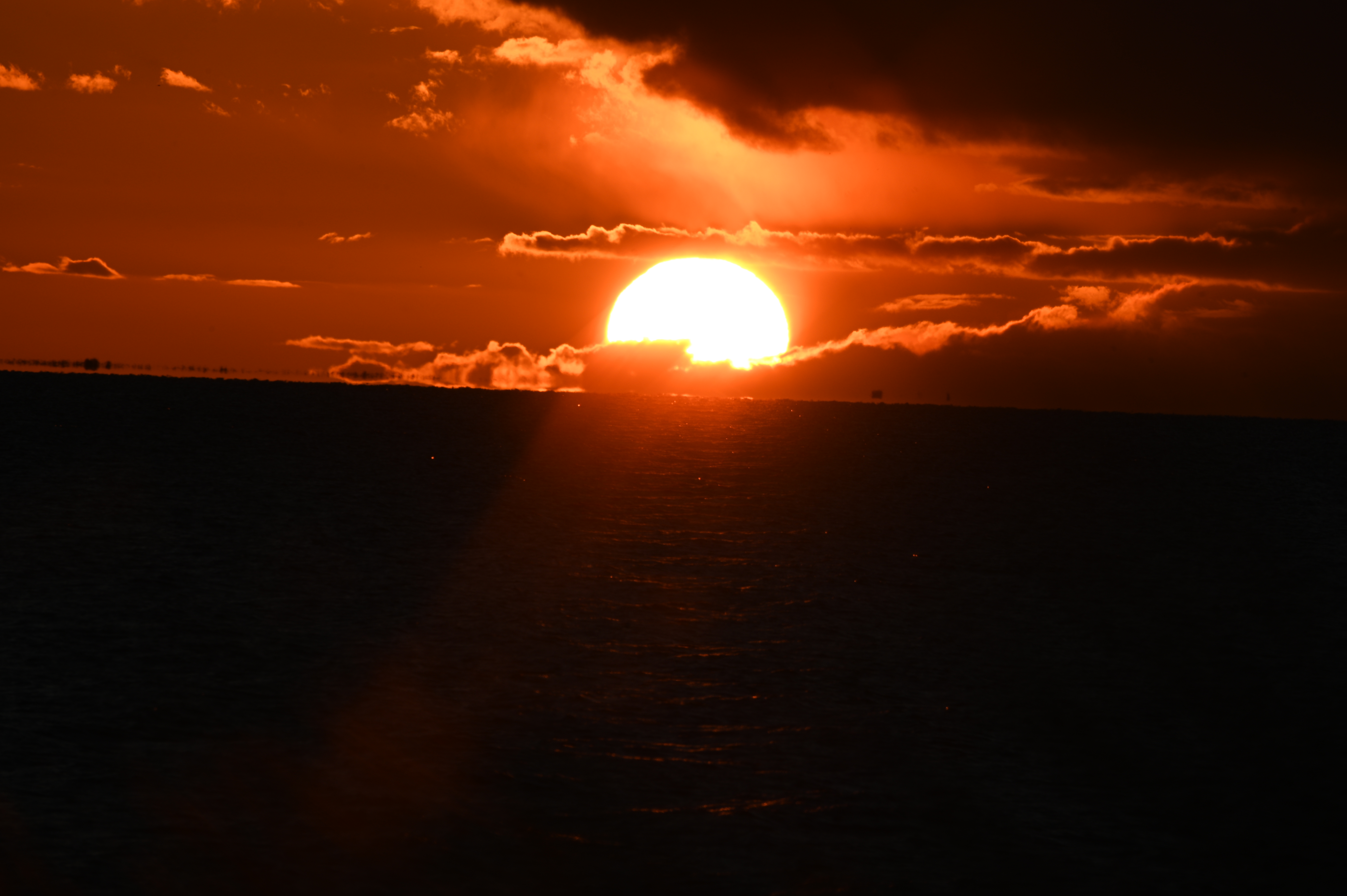 2025/10/18 - walk/DSC_0473.JPG